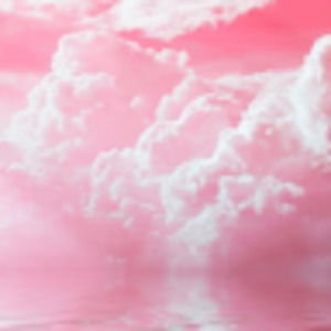 Meet your Posher, Delilah